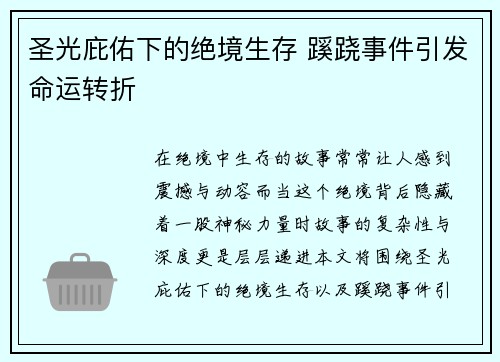 圣光庇佑下的绝境生存 蹊跷事件引发命运转折